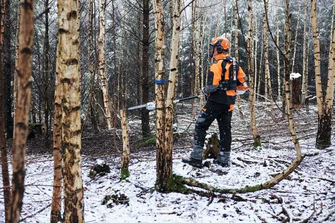 Die leistungsstarke Forstpflegesäge von Stihl lässt sich exakt führen und ermöglicht ein komfortables Arbeiten im Stehen bei der Jungbestandspflege oder der Mischwuchsregulierung im Wald. | Foto: Stihl
