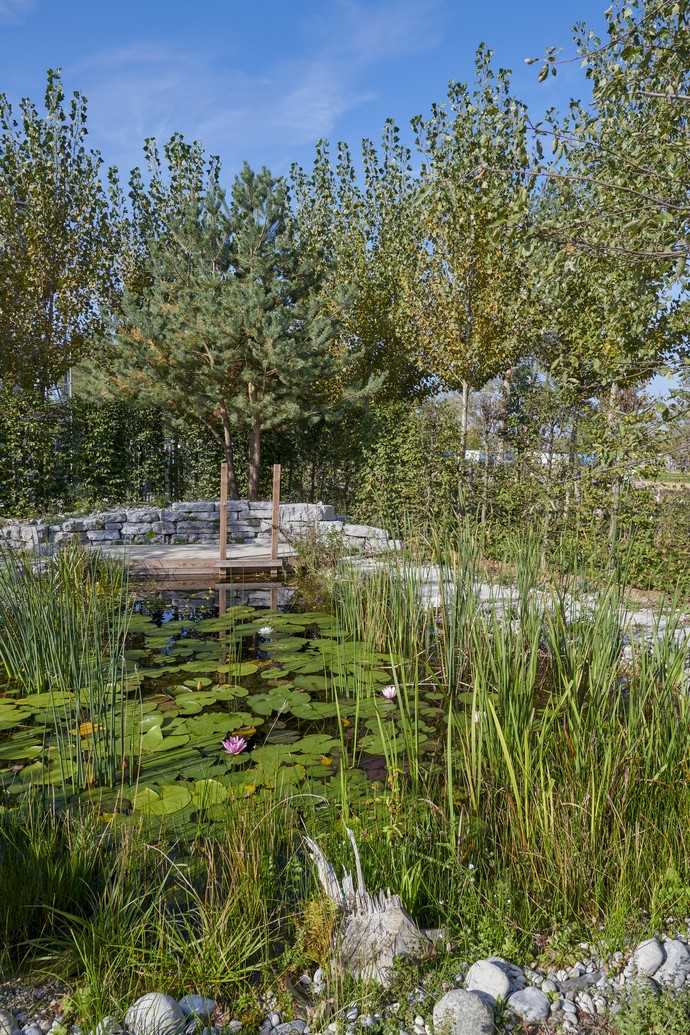 Der „Naturgarten – Ort des Lebens“ vom Fachbetrieb Grüne Aussichten fördert die Artenvielfalt auf eindrucksvolle Art und Weise. | Foto: Carolin Tietz/VGL Bayern