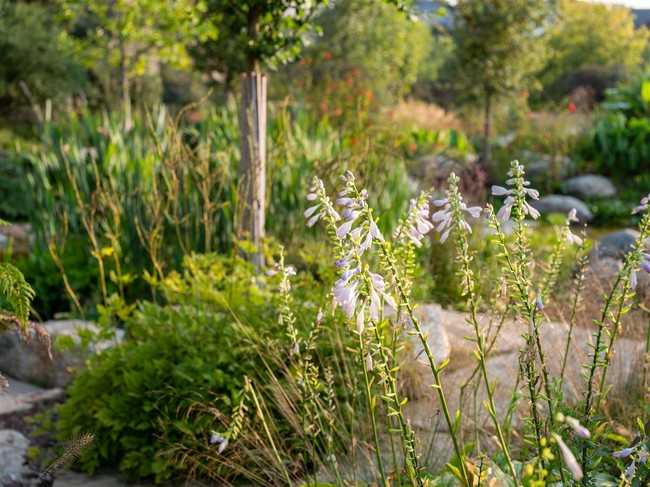 Der Garten “Jardin Extraordinaire”: Von idverde-Experten entworfen, entwickelt und umgesetzt. | Foto: idverde
