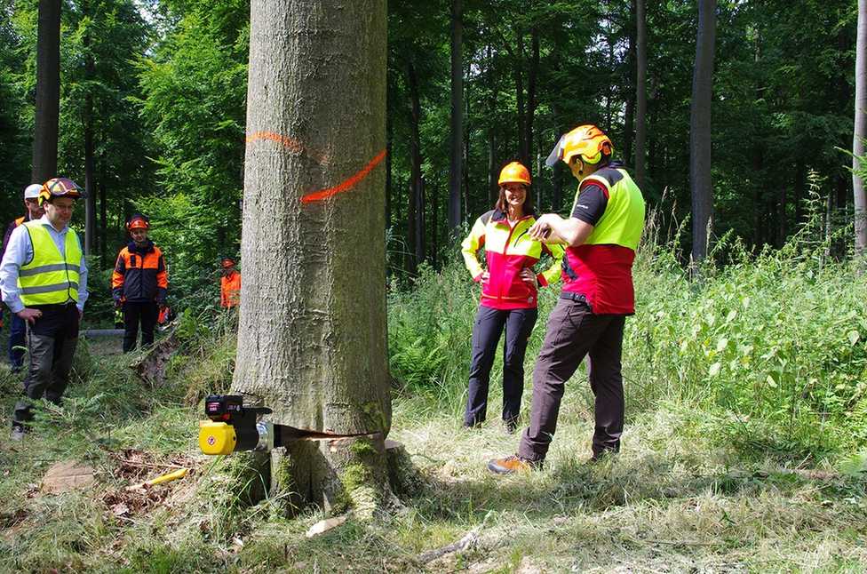 Zu viele Forstarbeiter unterschätzen Gefahren durch Schadholz