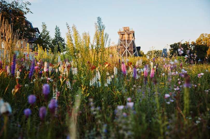 So schön war die Landesgartenschau in Bad Dürrenberg. Entstanden sind Grünanlagen und eine Infrastruktur, die die Stadt nachhaltig aufgewertet haben, einen Mehrwert für Einwohnerinnen und Einwohner schaffen und auch Touristinnen und Touristen künftig weiter anziehen sollen. | Foto: Jim Gramming