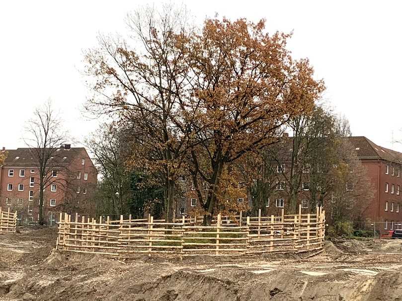 Dieser ortsfeste Schutzzaun gemäß DIN 18920 schützt den gesamten Wurzelbereich der Baumgruppe und verhindert Wurzelverletzungen. Auf diese Weise werden urbane Grünflächen auch langfristig erhalten. | Foto: Dujesiefken