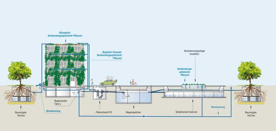 Schwammstadt in der Praxis: Regenwasserbewirtschaftung in Seeheim-Jugenheim Schwammstadt in der Praxis: Regenwasserbewirtschaftung in Seeheim-Jugenheim