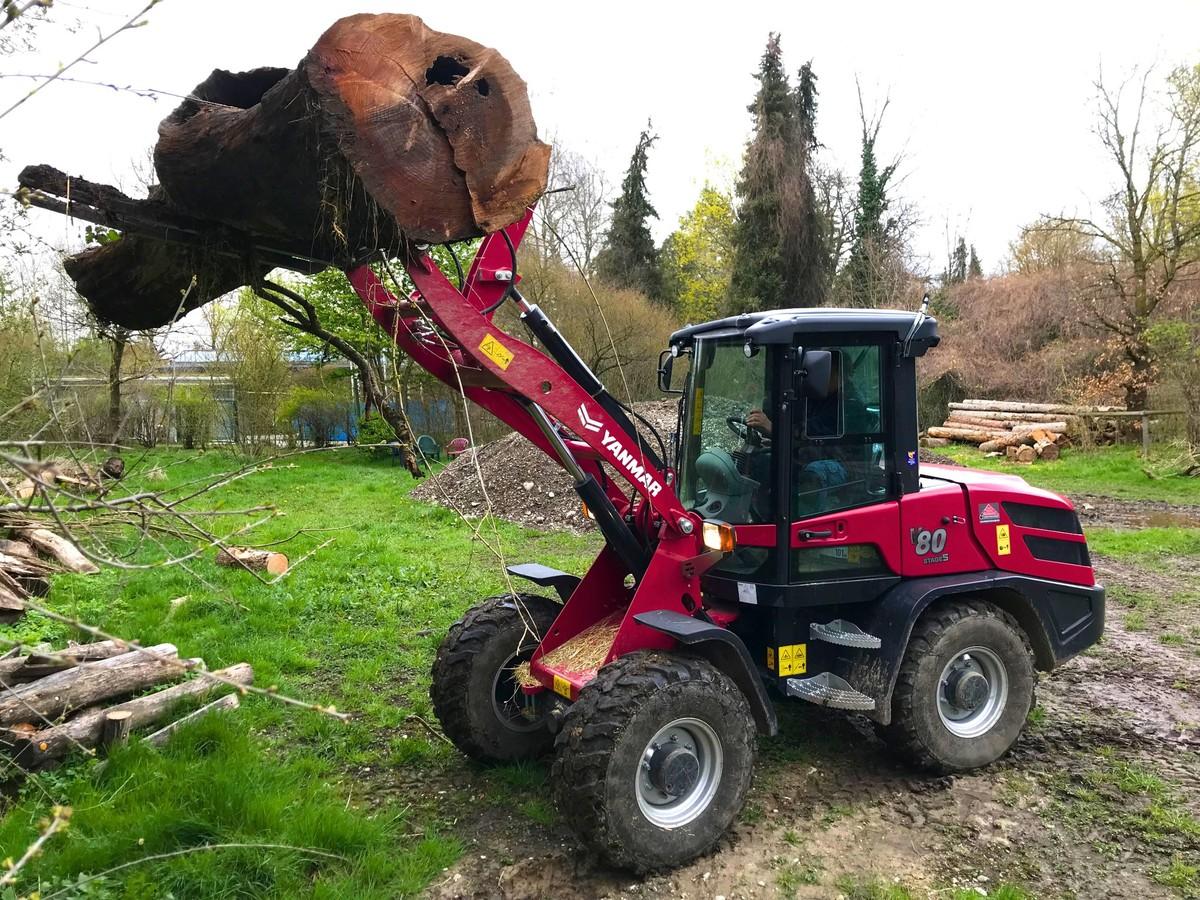 Für den Transport von Material, Paletten und Futtermitteln ist der Yanmar V80 unter anderem im Einsatz. | Foto: Yanmar