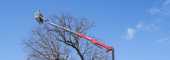 Baumpflege im Extrem: Was die Hinowa Lightlift 40.18 leistet Baumpflege im Extrem: Was die Hinowa Lightlift 40.18 leistet