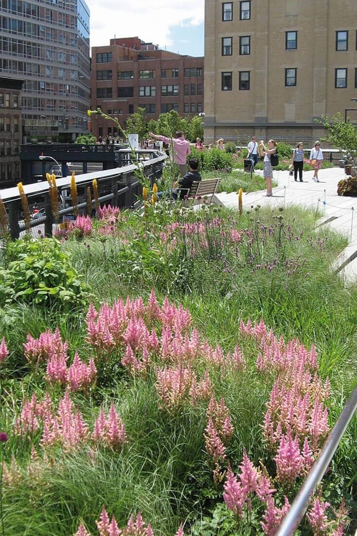Der High Line Park ist zum Besuchermagnet geworden: nicht nur New Yorker schlendern mit Vorliebe über den grünen Park auf Stelzen. | Foto: ZinCo