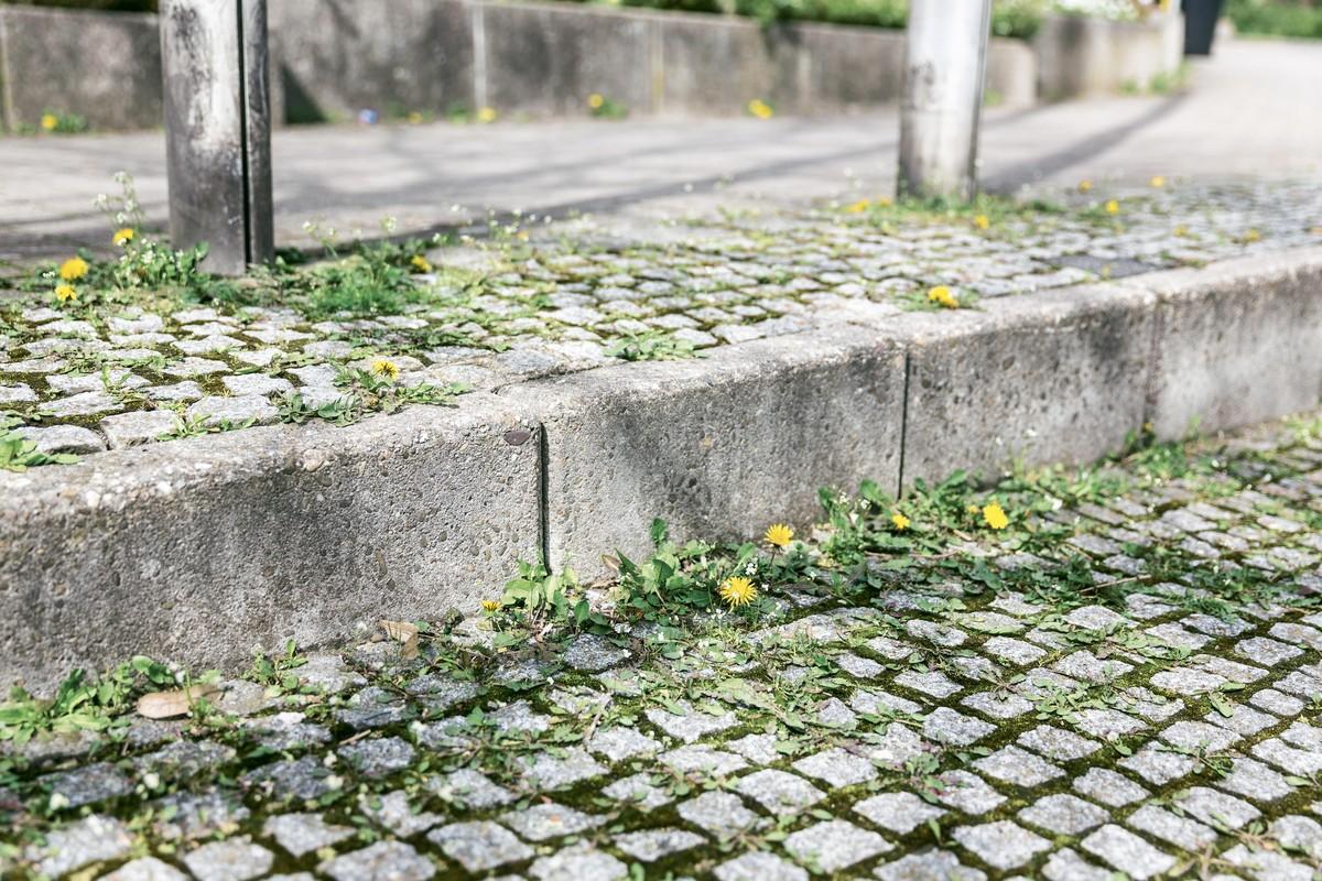 Klares Ergebnis: Vor der Behandlung mit Heißwasser… | Foto: Kärcher Klares Ergebnis: Vor der Behandlung mit Heißwasser… | Foto: Kärcher