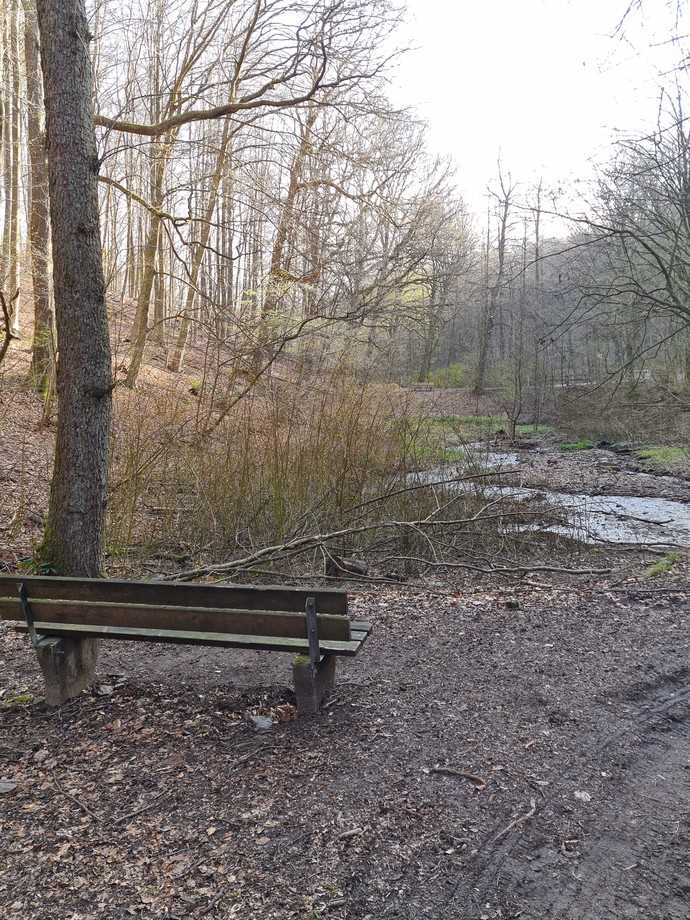 Leitungsverlauf durch das Murmelbachtal | Foto: Renos