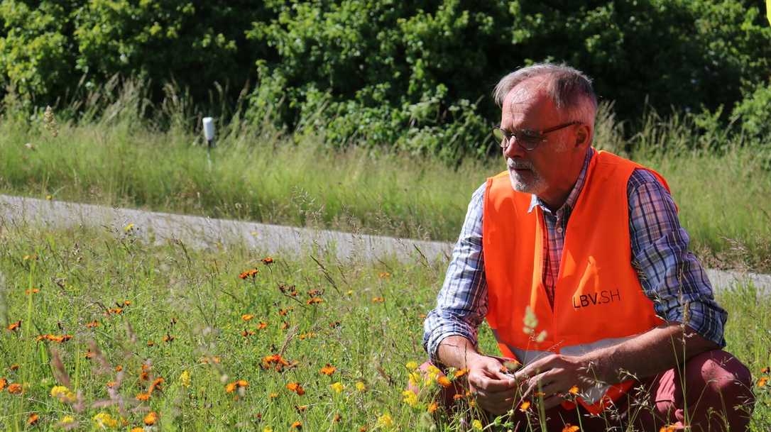 Exlusiv im Interview: Landesbetrieb zum Straßenbegleitgrün - Worauf kommt es an?