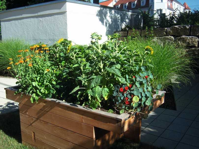 Dieses unterfahrbare Hochbeet ermöglicht es auch Rollstuhlfahrern, Obst und Gemüse anzubauen. | Foto: Rollibeet.de