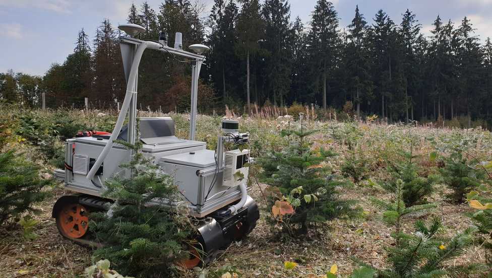 Nachhaltiger Weihnachtsbaum-Anbau mit Roboter-Einsatz