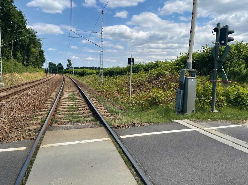 Vier Wochen nachdem bodennah gemulcht wurde, ist der Japanische Staudenknöterisch im vorderen Randbereich der Gleise schon wieder so hochgewachsen. | Foto: Janssen