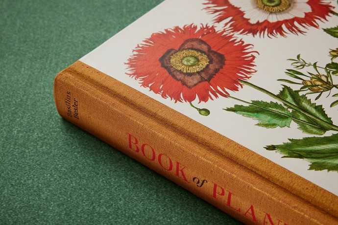 Die drei Bände sind sie ein repräsentatives Buch für Buchliebhaber, Botaniker, Kunstliebhaber, Gartenfreunde und Pflanzenfans. | Foto: Taschen Verlag/Mark Seelen
