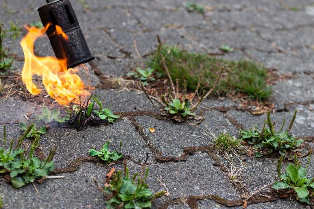 Unkrautbekämpfung ohne Chemie: Methoden, Technik und Tipps für die Stadtpflege Unkrautbekämpfung ohne Chemie: Methoden, Technik und Tipps für die Stadtpflege