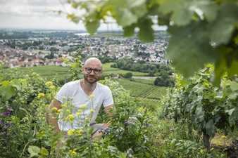 Auf dem Weg zum torffreien Gärtnern