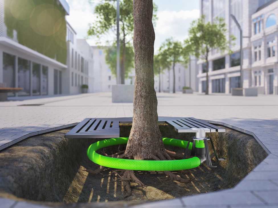 Bäume in der Stadt mit Luft, Wasser und Nährstoffen versorgen