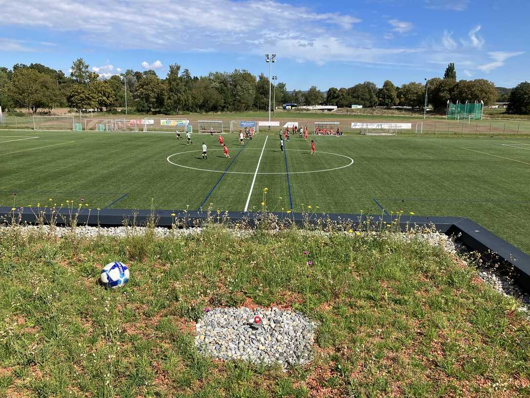 Vereinsheim nutzt Regenwasser für WC und Gründach