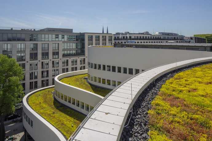 Die Begrünung wurde mit dem Optigrün-Leichtdach von Leonhards aus Wuppertal realisiert. | Foto: Optigrün international AG