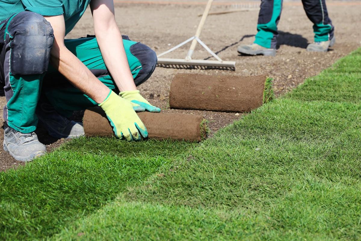 Fleißige Hände sind im Garten- und Landschaftsbau gefragt: Die Bildungspreis-Gewinner zeichnen sich durch starke berufliche Leistungen in Aus- und Fortbildung sowie überdurchschnittliches ehrenamtliches Engagement aus. | Foto: AdobeStock