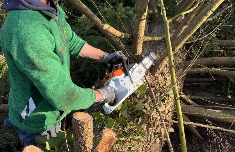 Die MSA 300 bietet drei auswählbare Leistungsstufen: Der „Allround-Modus“ ist vorteilhaft für Fällen, Ablängen und Handwerksarbeiten, hier ist bereits das volle Drehmoment der Säge verfügbar. | Foto: Mirold Garten- und Landschaftsbau