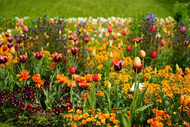 Die Landesgartenschau Wangen im Allgäu hat nach nur 16 Tagen bereits die 100.000-Besucher-Marke übersprungen. | Foto: Landesgartenschau Wangen