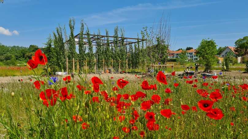 Die Landesgartenschau in Wangen im Allgäu öffnet vom 26. April bis zum 6. Oktober 2024. | Foto: lgswangen2024