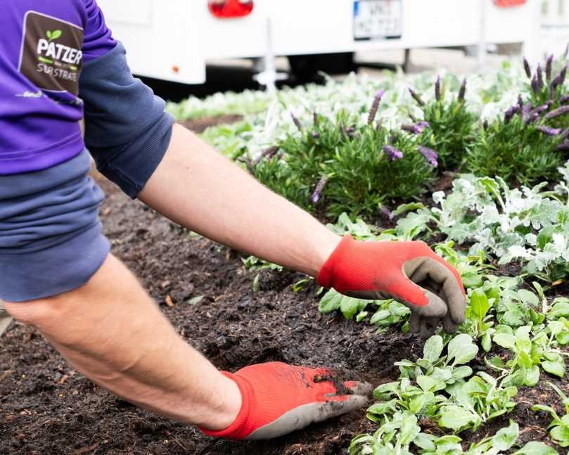 Mit unserem Sortiment können Sie auf unterschiedliche Anforderungen Ihrer Auftraggeber reagieren | Foto: Württembergische Friedhofsgärtner eG Mit unserem Sortiment können Sie auf unterschiedliche Anforderungen Ihrer Auftraggeber reagieren | Foto: Württembergische Friedhofsgärtner eG
