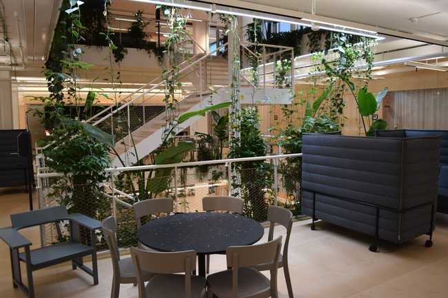 Die Firma Implenia connect in Zürich hat die „BuGG-Innenraumbegrünung des Jahres 2022“ - Pflanzgefäße in verschiedener Ausbildung. | Foto: Bundesverband GebäudeGrün