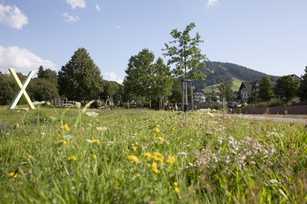 Tal X im Schwarzwald lockt mit Naturgenuss und Action