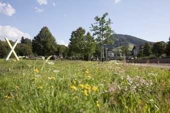 Tal X im Schwarzwald lockt mit Naturgenuss und Action