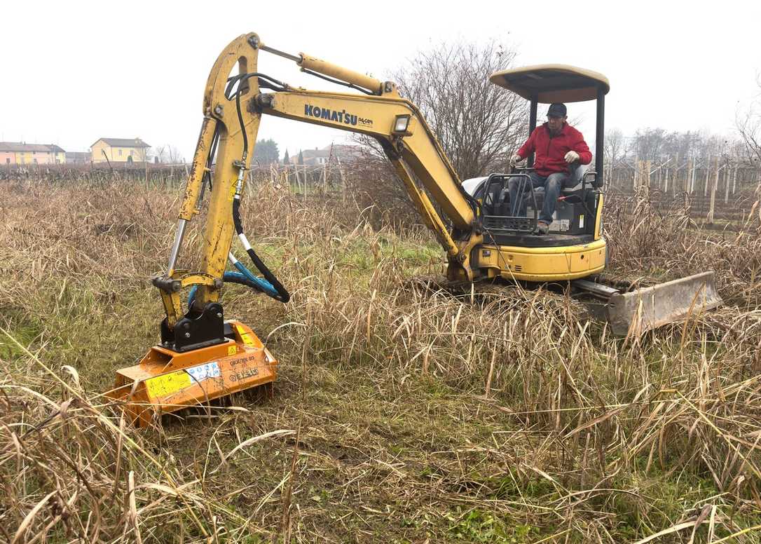 Willmers auf der Demopark 2025 - Im Gepäch den neuen Mulcher von Berti Willmers auf der Demopark 2025 - Im Gepäch den neuen Mulcher von Berti
