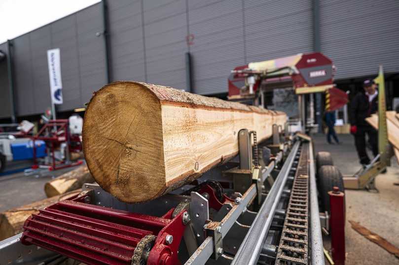 Alles rund ums Holz: Auf der Messe gibt es wieder diverse Maschinen zu entdecken. | Foto: Marko Scheerschmidt