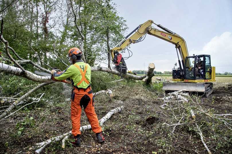 Dank des Forstgreifers kann der CAT 310 Stämme bis zu einem Durchmesser von 20 Zentimetern fällen. | Foto: action press / Christian Rudnik