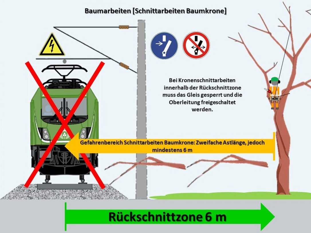 Vegetationspflege an Bahngleisen: So vermeiden Sie Unfälle