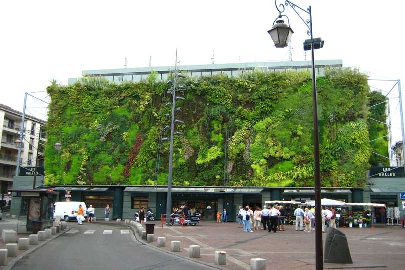 Klimawirksame Vertikalbegrünung | Foto: Kienleplan