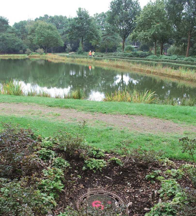 Schlauchlining quer durch den Rhododendron-Park