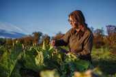 Gartenbau Studium: Hohenheim startet neue Fachrichtung - jetzt bewerben!