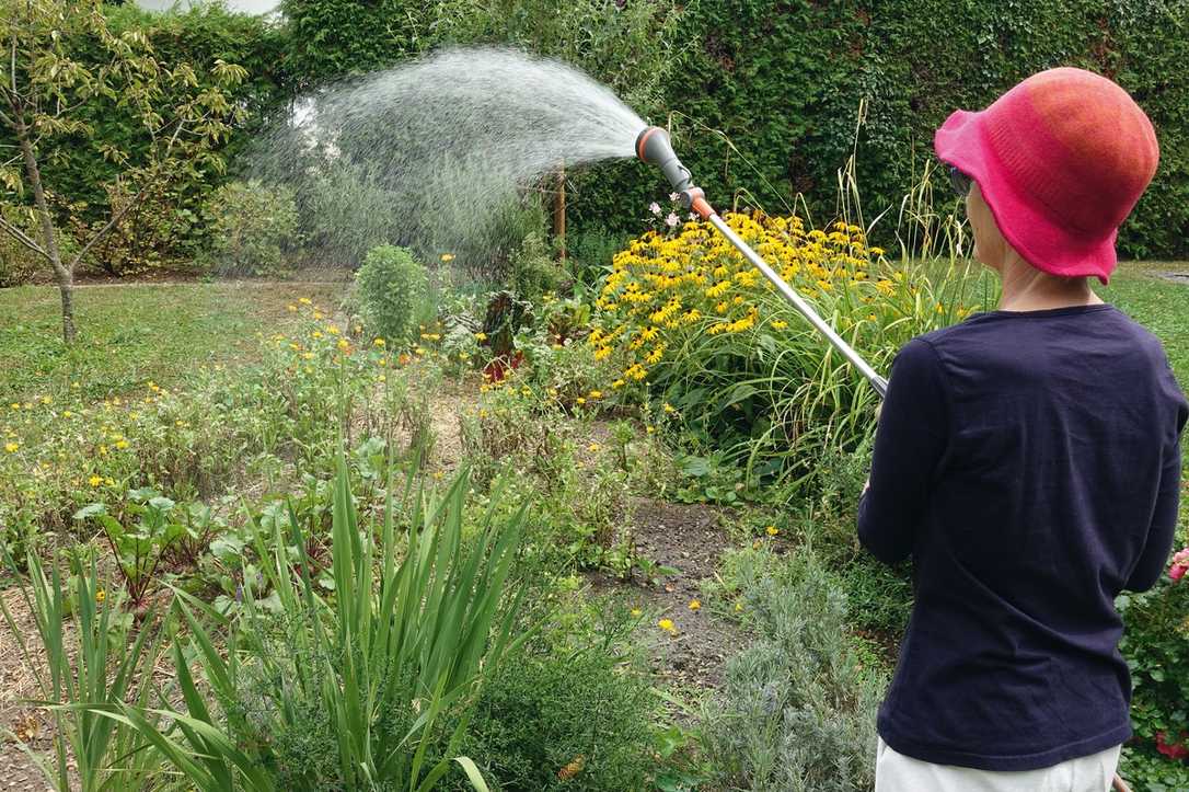 Regenwasser nutzen durch Bau einer Anlage