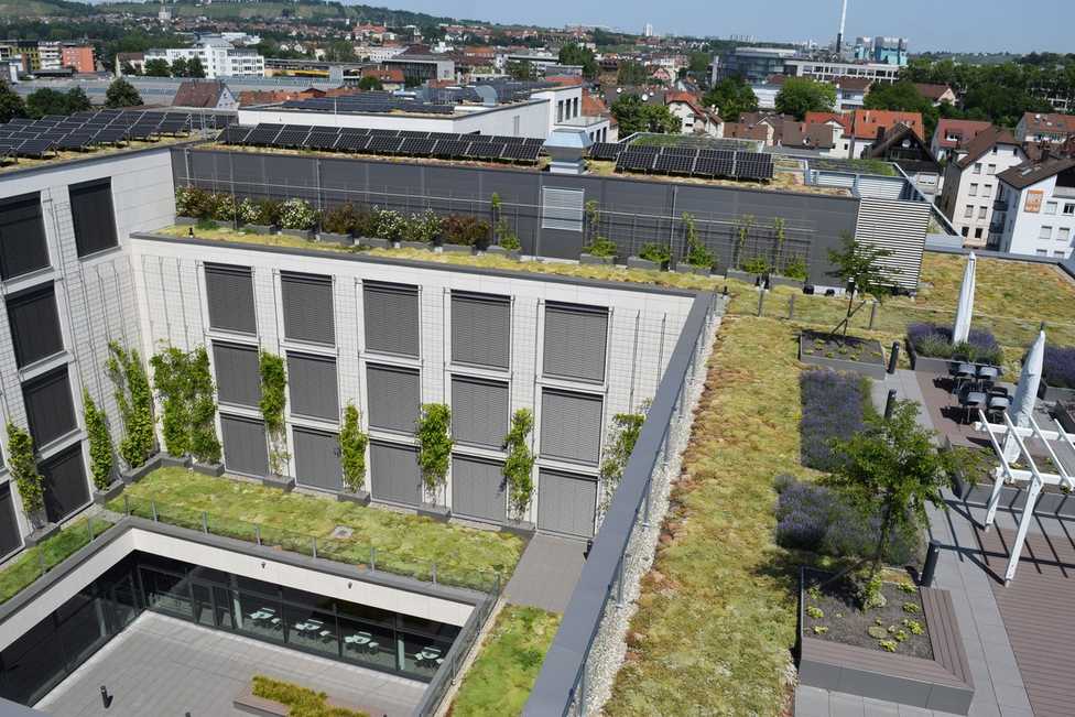 BuGG-Marktreport Gebäudegrün 2022: Grünes Dach beliebt wie nie