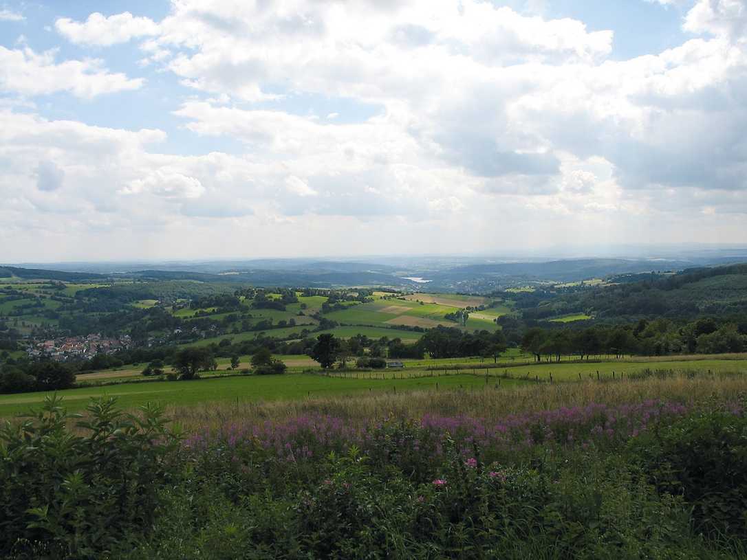 Die Landesgartenschau in Hessen findet 2027 an elf Orten in der Region Oberhessen statt.