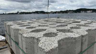CO₂-armer Beton für ein künstliches Riff