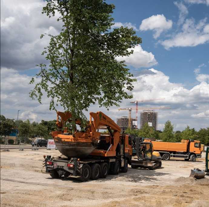 Hochwertige Maschinentechnik kommt bei den Großbaumverpflanzungen der Firma Opitz zum Einsatz. | Foto: Opitz