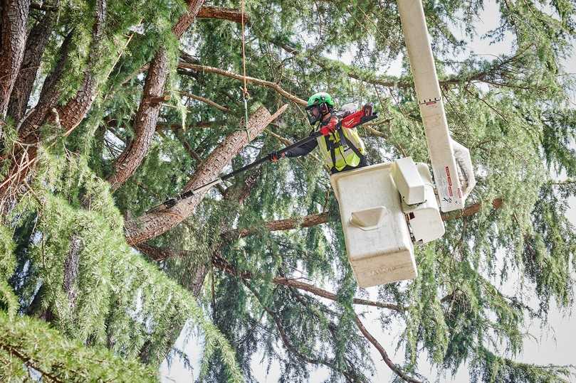 Mit Tragegurt und anpassbarer Schaftlänge kann die M18 FTPS30 auch von der Arbeitsb�ühne aus eingesetzt werden. | Foto: Robby Koenig