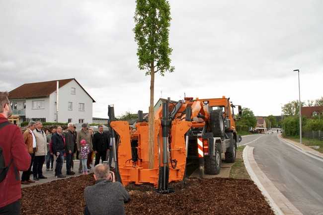 Jetzt steht auch der letzte Baum auf der Verkehrsinsel - frisch gepflanzt im  Beisein zahlreicher Gäste. | Foto: bs