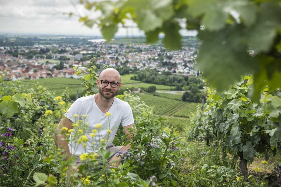 Pflanzenkohle: Torfersatz mit Klimaschutzwirkung Pflanzenkohle: Torfersatz mit Klimaschutzwirkung