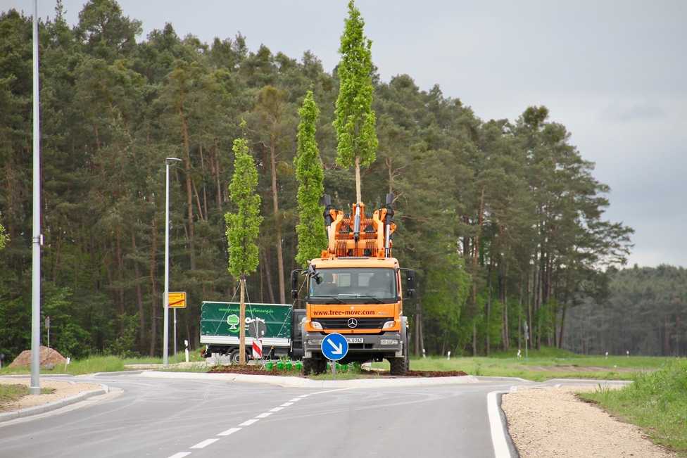 Bäume  zur Verkehrsberuhigung in der neuen Ortsdurchfahrt Unterrödel