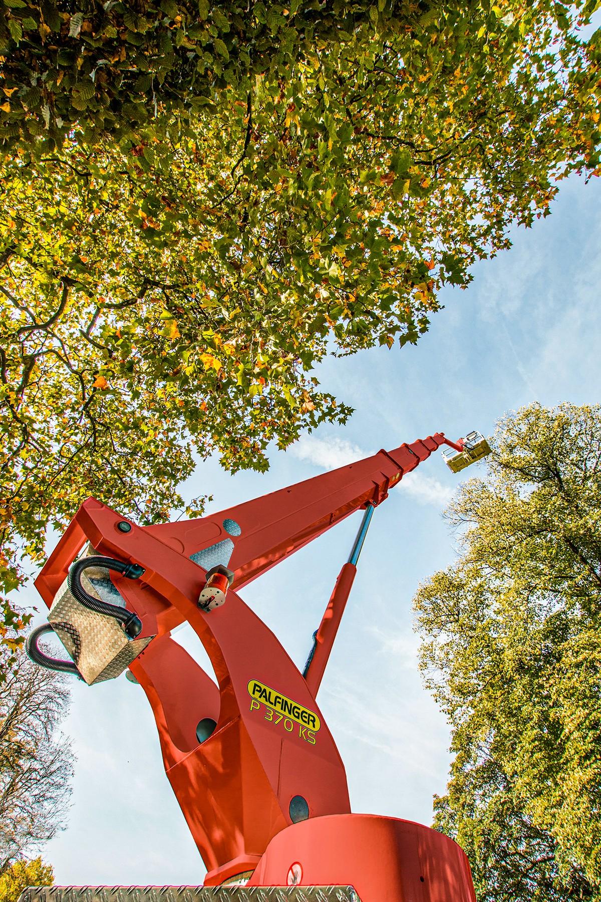 Bei der Baumpflege geht es hoch hinaus - ein Spezialpaket bietet mehr Sicherheit bei der Arbeit. | Foto: Palfinger