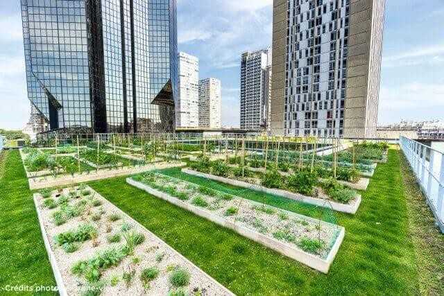 Urban Farming: Ein lehrreiches und schmackhaftes Dach