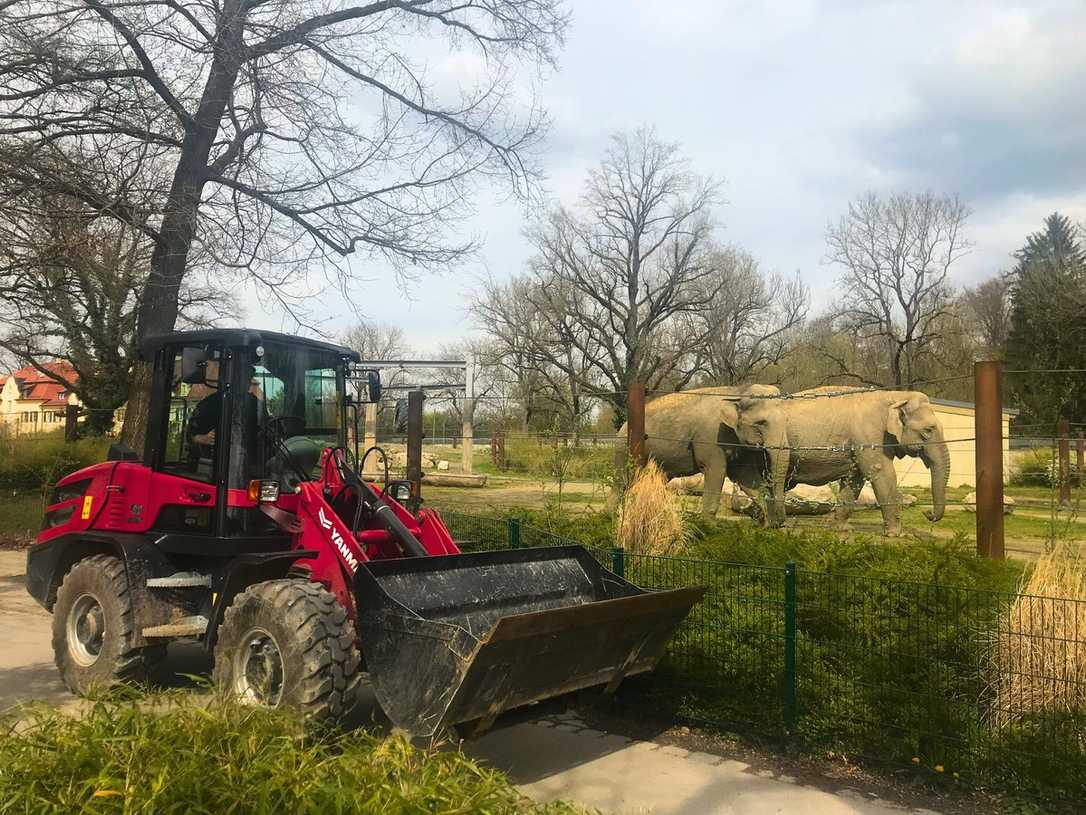 Damit überzeugt der Radlader im Zoo