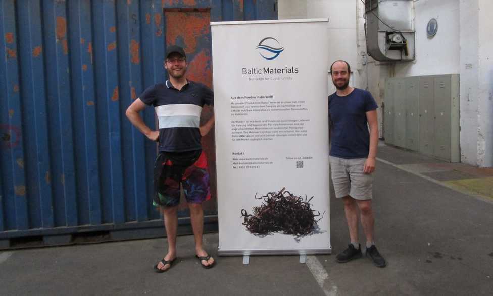 Seegras: Nachhaltiger Dämmstoff aus der Ostsee